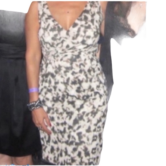 Ann Taylor Animal/Leopard Print Vneck Dress Size 0 - Picture 8 of 16